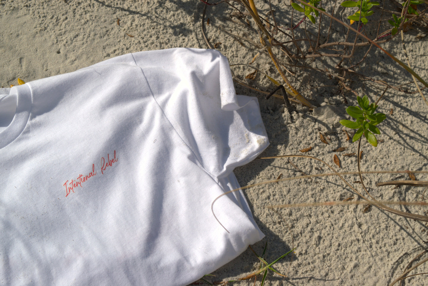 Island Palms & Boards (Women's)