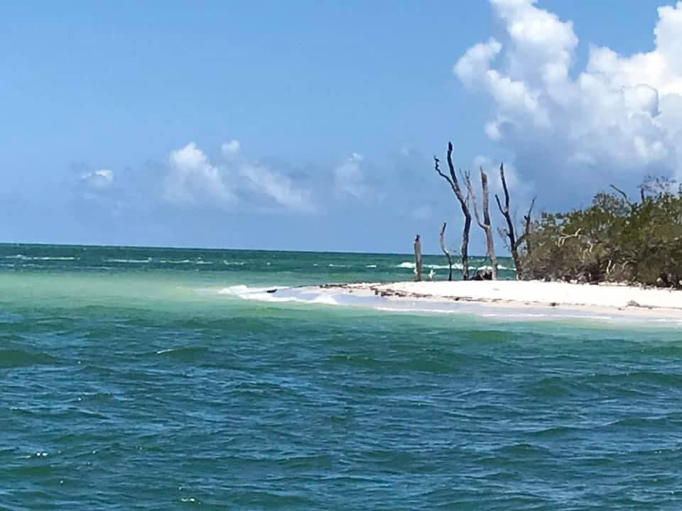 Salt & Sand